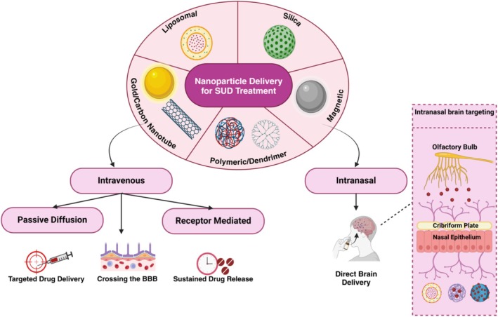 Nanoparticle delivery mechanisms for substance use disorder (SUD) treatment.