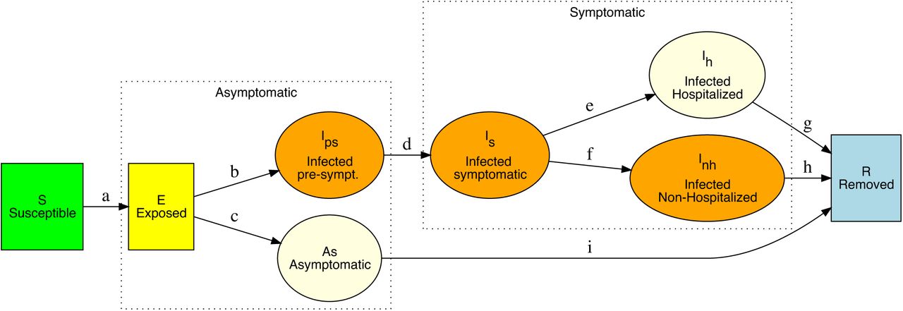 Diagram of the SARS-CoV-2 epidemiological model.