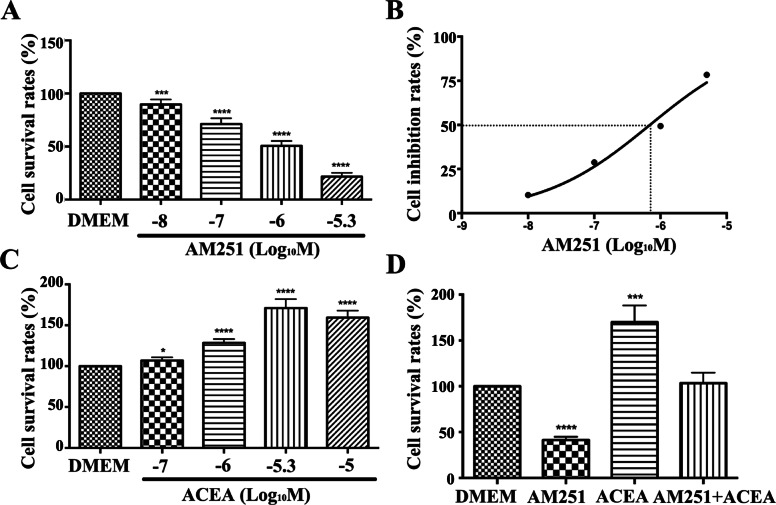 Effects of a CB1 receptor antagonist and agonist on the proliferation of JZSMCs. a JZSMCs were treated with the CB1 receptor antagonist AM251 at different concentrations, and the cell survival rates were analysed. b Inhibition effect of AM251 at different concentrations on adenomyotic JZSMCs. The X axis corresponds to the 50% inhibition rate (the logarithm (base ten) of the half maximal inhibitory concentration (IC50)). c The cell survival rates after incubation with the CB1 receptor agonist ACEA at different concentrations are shown. d Comparison of the cell survival rates after incubation with different drugs. Three independent experiments were conducted for each treatment. One representative image from each group of three experiments is shown (Log10 M is the logarithm of the molar concentration to 10, * P < 0.05; ** P < 0.01, ***, P < 0.001, ****, P < 0.0001)