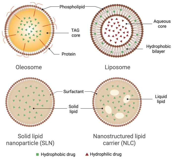Comparative structures of lipid-based nanocarriers. Created in BioRender. Mallillin, M. (2025) https://BioRender.com/90jqj9s.