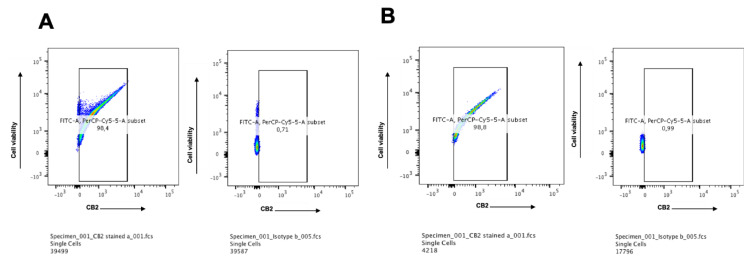 (A) Protein expression of the CB2 receptor on KMS-12 PE multiple myeloma cell line: Both intracellular and surface expressions of CB2 were detected by flow cytometry. The results showed that 98.4% of the cells express CB2 while the corresponding isotype control was 0.7%. (B) Protein expression of the CB2 receptor on U-266 multiple myeloma cell line: Both intracellular and surface expressions of CB2 were detected by flow cytometry. The results showed that 98.8% of the cells express CB2 while the corresponding isotype control was 1.0%.
