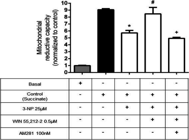Effect of WIN 55212–2 on dehydrogenase activity (reduction capacity) of mitochondrial electron chain (experiment without rotenone). Bars represent mean values ± SEM of n = 5 experiments per group. *p ≤ 0.0001, different of control mitochondria; #p ≤ 0.01, different from the 3-NP group; +p ≤ 0.001, different from WIN 55212–2 + 3-NP. One-way ANOVA followed by Tukey’s test