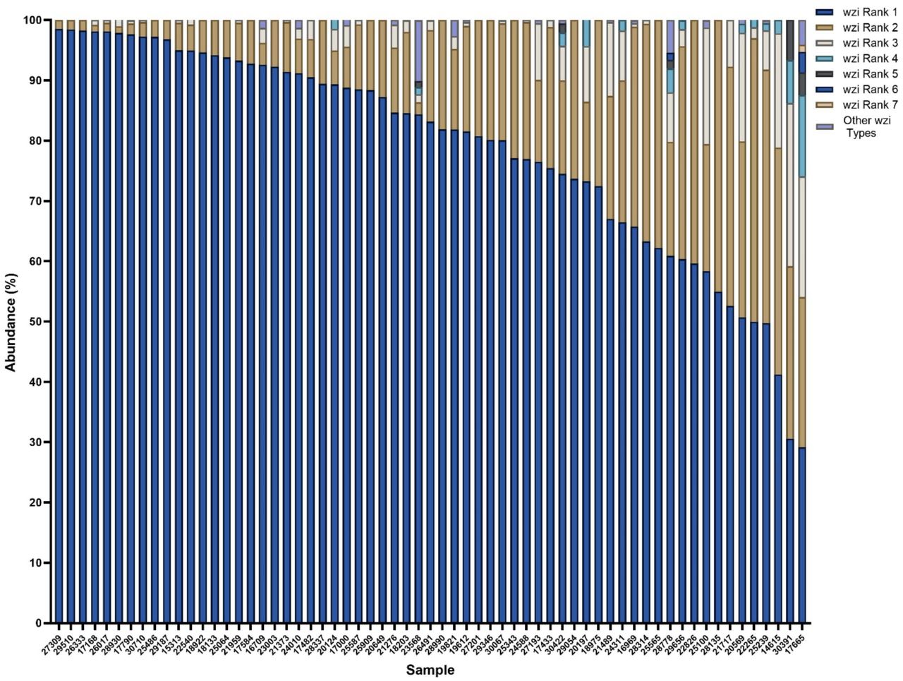 Mixed colonized patient samples are commonly dominated by one wzi typeThe abundances of wzi types identified in all mixed samples were quantified with wzi rank 1 being the wzi type highest in abundance in each sample and wzi rank 7 being the lowest in each sample. All wzi types with an abundance less than 1% were labeled as “other”.