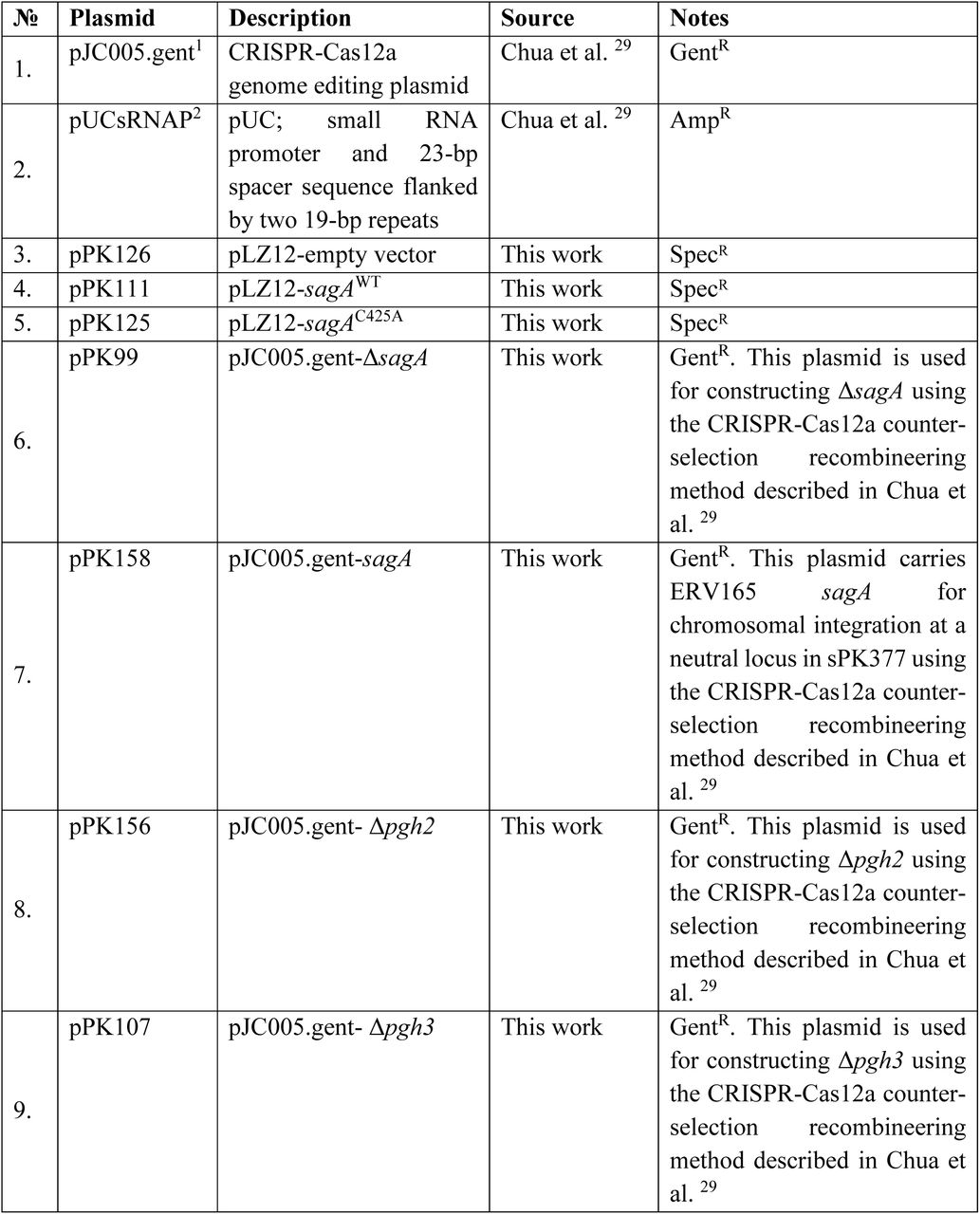 Plasmids constructedThe details of the plasmid construction are described below.
