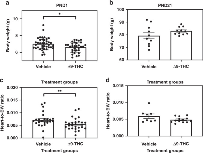 Gestational exposure to Δ9-THC leads to decreased heart weights at birth followed by postnatal catch-up growth at 3 weeks.a, b Body weights, c, d heart-to-body weight ratios. All values are expressed as means ± SEM, an average of 4 pups/dam from N = 7–8 dams/group (i.e., N = 1 represents pups from a single dam). Significant differences between groups were determined using Student’s unpaired t test (*p < 0.05, **p < 0.001).