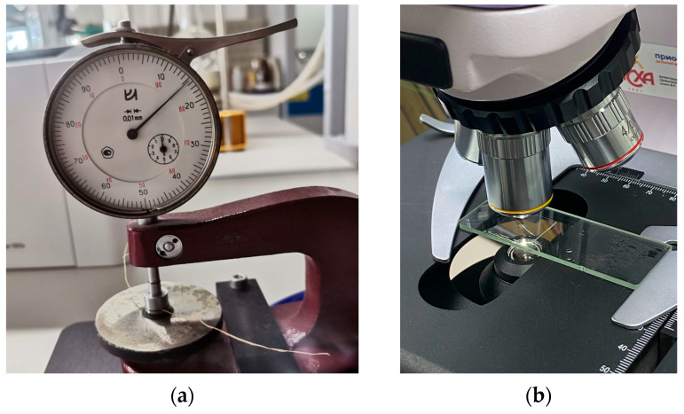 Measurement of the diameter of a cellulose fiber sample, using a thickness gauge (a) and using an optical microscope (b).