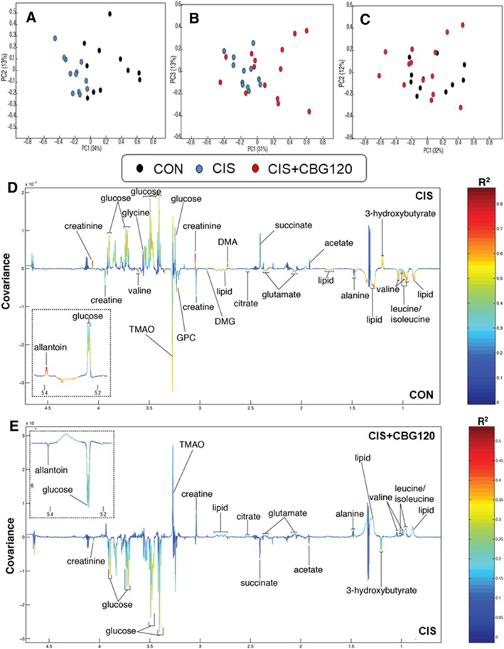 Cannabigerol partially normalizes the cisplatin‐induced aberrant metabolic phenotype. Principal component analysis scores plots (PC1 vs. PC2/3, % variance in parentheses) of the 1H‐NMR plasma metabolic profiles for pairwise comparisons of CON vs. CIS (A), CIS vs. CIS + CBG120 (B), and CON vs. CIS + CBG120 (C). Orthogonal projection to latent structures discriminant analysis (OPLS‐DA) revealed a widespread aberrant metabolic phenotype induced by cisplatin (D; Q2Ŷ = 0.5380, P = 0.001), with many of these cisplatin‐induced metabolite changes partially reversed by CBG treatment (E; Q2Ŷ = 0.2345, P = 0.01). Relative abundance plots for all individual metabolites derived from the OPLS‐DA integrals are provided in Supporting Information, Figure S4.