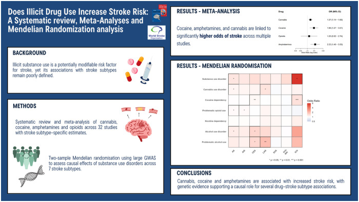 Graphical abstract