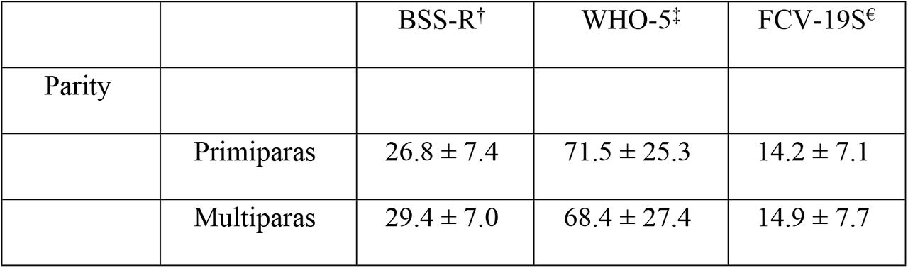 Mean scores of scales used in the study for different income and parity groups
