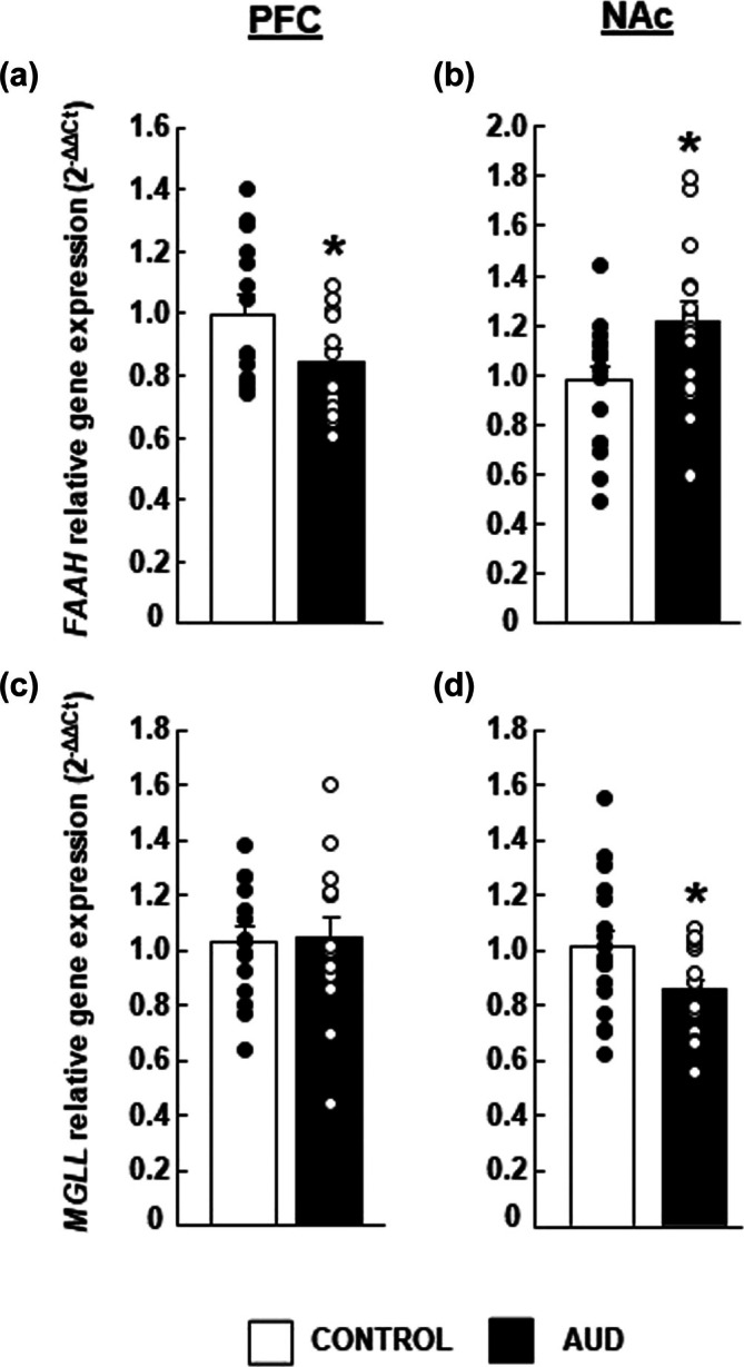 FAAH and MGLL expression analyses by real‐time polymerase chain reaction (PCR). Gene expression in alcohol use disorder (AUD) is expressed relative to control subjects. Data are expressed as mean ± SEM of 2−ΔΔCt. FAAH and MGLL expression in the PFC [(a), (c), respectively) and the NAc [(b), (d), respectively]. *Values from AUD subjects that are significantly different (P < 0.05) from controls.