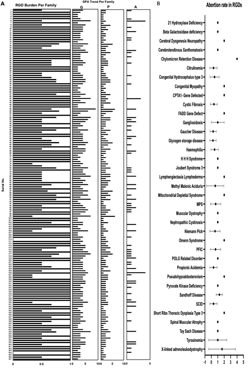GPA profile and abortion rate among RGDs familiesA: Family wise GPA profile among RGDs families is shown. This analysis highlights the variations in reproductive history and pregnancy outcomes within affected families B: Distribution of abortion rate by RGDs is shown indicating the association between specific RGDs and increased risk of abortion