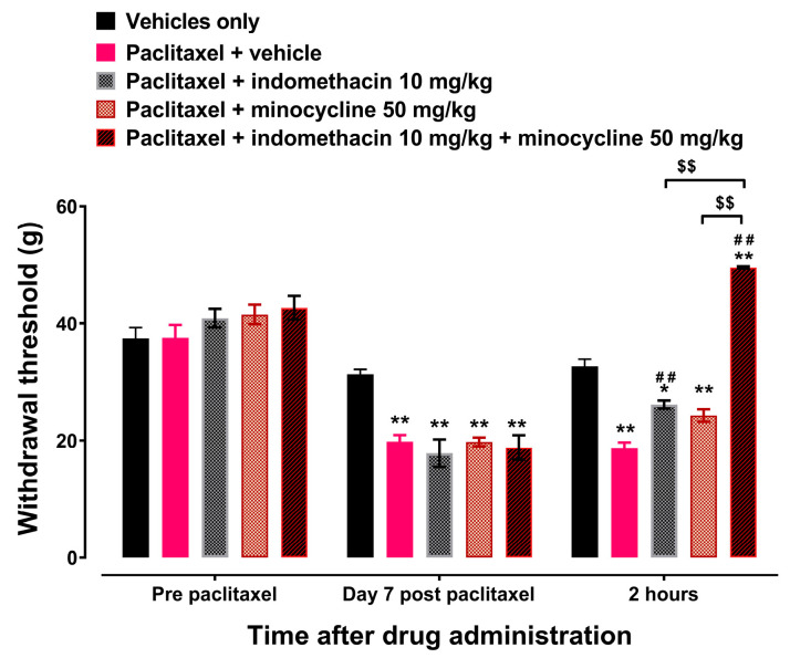 Indomethacin plus minocycline (IPM) combination alleviates established paclitaxel-induced mechanical allodynia. Withdrawal thresholds at pre-paclitaxel administration, on day 7 post-first administration of paclitaxel, and 2 h after acute treatment with indomethacin, minocycline, and IPM combination. Each point represents mean ± S.E.M, n = 8, * p < 0.05, ** p < 0.01 compared to the vehicle-treated group at the same time point after treatment, ## p < 0.01 compared to paclitaxel + vehicle at the same time point after treatment, $$ p < 0.01 between rats treated with indomethacin or minocycline alone and those treated IPM combination (Two-way ANOVA followed by Tukey’s multiple comparisons test).