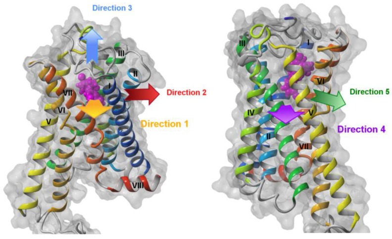 Directions of ligand pulling in SMD simulations. Direction 1 (yellow arrow): between transmembrane helices TM1 (blue) and TM7 (orange-red), Direction 2 (red arrow): between TM1 (blue) and TM2 (cyan), Direction 3 (blue arrow): “up” towards the extracellular side, Direction 4 (purple arrow): between TM4 (yellow-green) and TM5 (yellow), Direction 5 (green arrow): between TM5 (yellow) and TM6 (orange). The structure of the CB1 receptor without the whole N-terminus is shown but with modeled residues 96–99 containing residues participating in ligand binding in the orthosteric site.