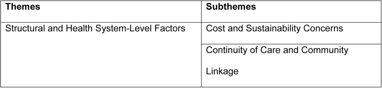 Themes and subthemes