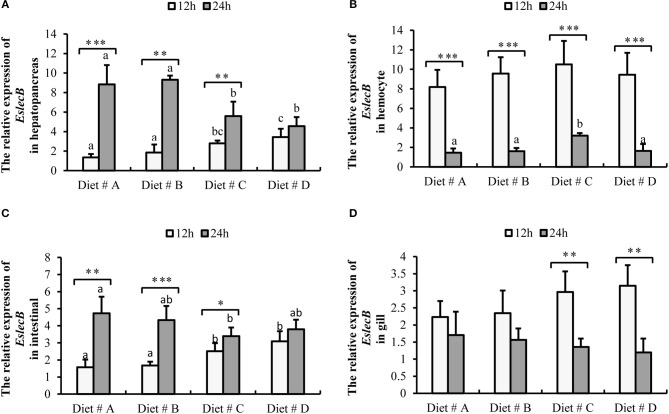 Expression level of EslecB gene normalized to β-actin in the hepatopancreas, hemocyte, intestinal and gill tissues of E. sinensis fed dietary treatments at 12 and 24 h after A. hydrophila injection. The values are expressed as the means ± SD (n = 4). Different letters placed above the column represent the significant differences (P<0.05) “*” represent significant differences between 12 and 24 h at the same diet group (*P<0.05, **P<0.01, ***P<0.001). (A) The EslecB relative expression in hepatopancreas; (B) The EslecB relative expression in hemocyte; (C) The EslecB relative expression in intestinal; (D) The EslecB relative expression in gill.