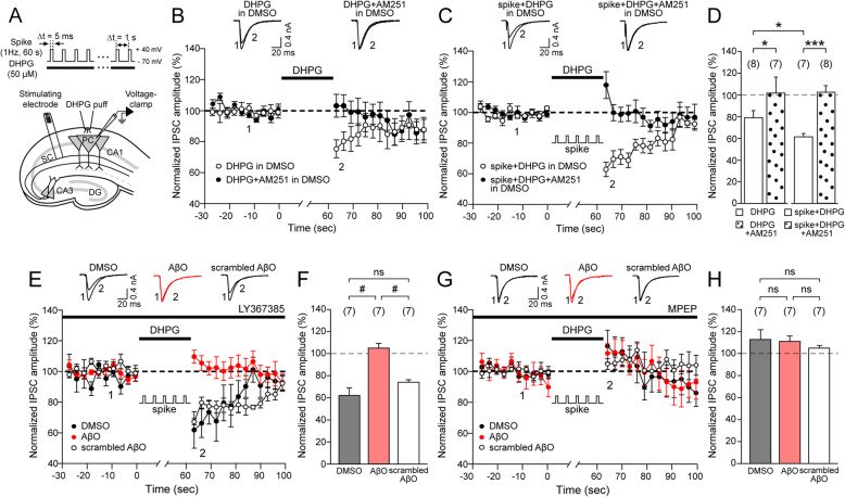 AβO disrupts synergistic enhancement of endocannabinoid (S-eCB) mobilization. a Schematic of the S-eCB mobilization protocol: whole-cell voltage-clamp recording in CA1 pyramidal cells (PCs) to measure Schaffer collateral (SC) stimulation-evoked inhibitory postsynaptic potentials (eIPSCs) in rat hippocampal slices in vitro. S-eCB mobilization was induced by postsynaptic CA1 PC spikes (spike, at 1 Hz) with DHPG (50 μM) for 60 s. b, c Time course of the changes in mean eIPSC amplitudes following DHPG (empty circle, n = 8, b), DHPG + AM251 (3 μM) (filled circle, n = 7, b), spike + DHPG (empty circle, n = 7, c), and spike + DHPG + AM251 (filled circle, n = 8, c) in DMSO-treated rat hippocampal slices. d Mean of normalized eIPSC amplitudes of the first 10 s after S-eCB mobilization protocol in b and c. DHPG or spike + DHPG (empty bar), DHPG + AM251, or spike + DHPG + AM251 (dotted bar). e Same as c, but in the presence of LY367385 (100 μM) in DMSO-treated (black circle, n = 7), AβO-treated (red circle, n = 7), and scrambled AβO-treated rat hippocampal slices (empty circle, n = 7). f The mean of the normalized eIPSC amplitudes in e. DMSO (black bar), AβO (red bar), and scrambled AβO (empty bar). g–h Same as e and f, but in the presence of MPEP (10 μM) in DMSO-treated (black, n = 7), AβO-treated (red, n = 7), and scrambled AβO-treated rat hippocampal slices (empty, n = 7). Inset: b, c, e, and g representative eIPSC traces at the indicated time points (1, 2) in each condition. Statistical tests: d Unpaired Student’s t test, *p < 0.05, ***p < 0.001; f, h one-way ANOVA with post hoc Tukey’s test, #p < 0.05, ns: p > 0.05. Data are represented as mean ± SEM