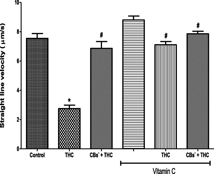 Vitamin C abolished the tetrahydrocannabinol-induced reduction in the straight line velocity of rat spermatozoa. THC, tetrahydrocannabinol; CBs−, cannabinoid receptors’ blockers; *p < 0.05 vs. Control; #p < 0.05 vs. THC