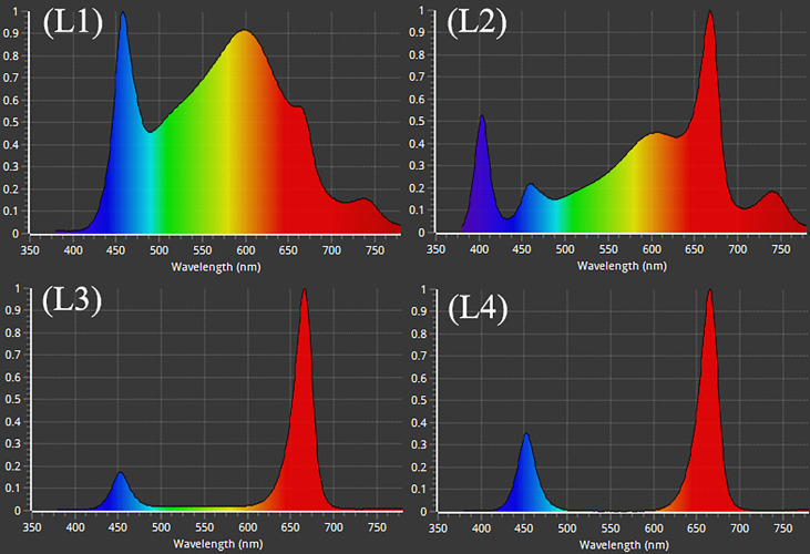 Different LED light used in the study. L1, MW 240 (Red 35% + Blue 25% + Green 40%); L2, FS 240-UV (Red 40% + UVA and Blue 26% + Green 29% + Far red 5%); L3, MB 240 (Red 85% + Blue 15%); L4, PF 240 (Red 70% + Blue 30%).