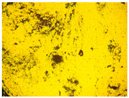gels-10-00816-i004.jpg
