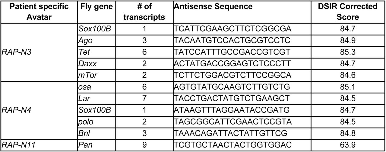Sequences of single 21-nucleotide siRNA for knockdown of tumour suppressors.