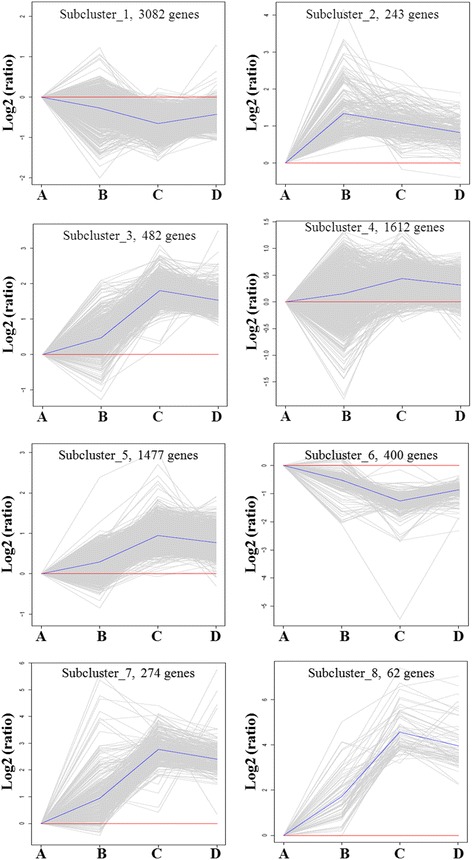 K-means clustering of DEGs. The 7632 DEGs were statistically grouped into 8 subclusters. The trends of distinct significant expression subclusters were analyzed. A: sham control; B: 1 dpi; C: 6 dpi; D: 28 dpi. (n = 3 in every group)