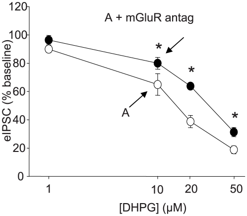 Concentration-response curves for Asc-08007-1-1 DHPG.Concentration-response curves in the presence (black circles) or absence (white circles) of mGluR antagonists (YM298198 plus MPEP, or LY341495 alone). Peak eIPSC amplitude depressions expressed as percent of baseline. Depression caused by all DHPG concentrations >1 µM are significant (p<0.01) in the presence and absence of antagonists. White circles: 1 µM: 89.9±2.5%, n = 4; 10 µM: 64.9±7.6%, n = 6; 20 µM: 38.8±4.3%, n = 6; 50 µM: 18.8±2.7%, n = 4. Black circles: 1 µM 96.4±3.3%, n = 4; 10 µM: 80.0±4.2%, n = 5; 20 µM: 63.8±1.3%, n = 6; 50 µM: 31.3±3.3%, n = 6. The difference between the depressions observed in the presence or absence of antagonists is significant for concentrations >10 µM (p<0.05).