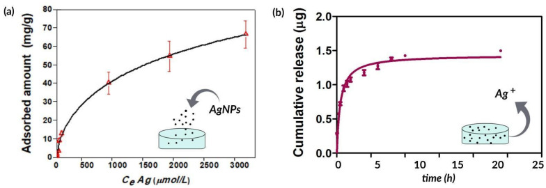 (a) Adsorption isotherm of AgNPs on collagen matrices. CeAg (μmol/L) corresponds to the equilibrium concentration of Ag. (b) Cumulative release of Ag+ from collagen over 24 h. Results are expressed as mean ± SD from triplicate experiments.