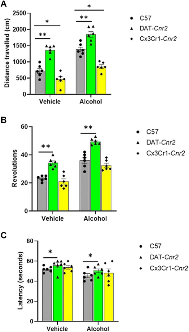 Acute effect of alcohol (0.8 g/kg) on distance travelled (centimeters) in the activity monitor apparatus (A), on the absolute number of revolutions in the wheel-running test (B) and on fall latency (seconds) in the rotarod test (C) in WT, DAT-Cnr2, Cx3Cr1-Cnr2 mice. Values are mean ± SEM (n = 6 in each group). Statistical analysis was done using Two-way ANOVA test. **p < 0.01, *p < 0.05 compared to C57-WT group.