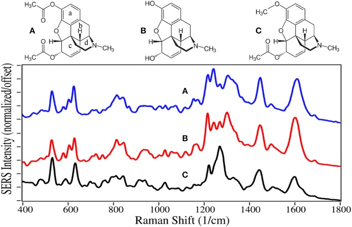 Structures and 10 ppm SERS of (A) heroin, (B) morphine, and (C) 6-acetylcodeine.