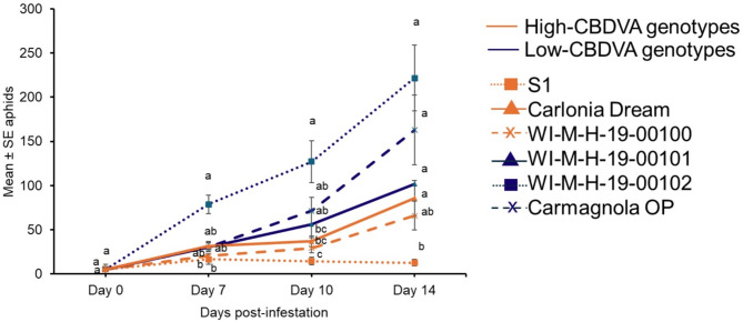 Cannabis aphid population growth on high- and low-cannabidivarinic acid (CBDVA) hemp genotypes. Five adult cannabis aphids were placed on 7-week-old plants and the population was monitored for two weeks. Carmagnola OP, WI-M-H-19-00101, WI-M-H-19-00102 are low-CBDVA genotypes and Carolina Dream, S1, and WI-M-H-19-00100 are high-CBDVA genotypes. The aphid counts at each time-point were analyzed with Kruskal-Wallis followed by Dunn’s post-hoc test. Different letters indicate significance at P < 0.05