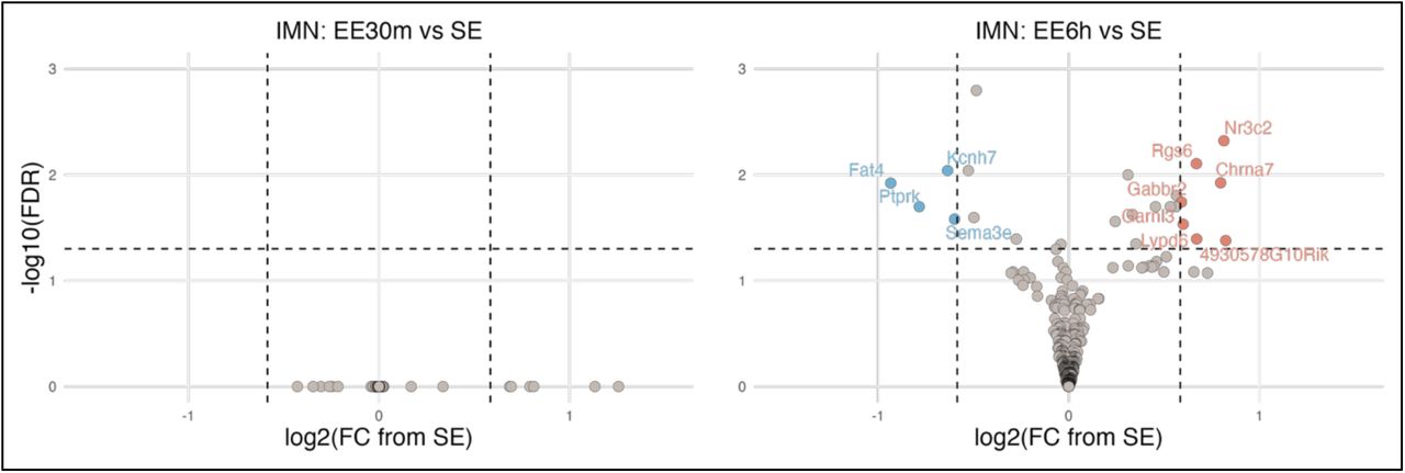 DEGs in immature dentate granule cells (IMN) after 30 minutes or 6 hours of enriched environment.