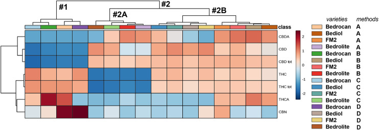 A heatmap overview (showing only group average) with hierarchical clustering of the 4,774 cannabis oils. The first cluster (#1) included Bedrocan variety and the second one (#2) the other varieties, which in particular consisted of (#2A) Bedrolite and (#2B) Bediol and FM2. In respect to other varieties, Bedrocan displayed a lower concentration of CBD (tot, neutral, and acid) and Bedrolite of THC (tot and neutral). The color-scale differentiates values as high (red), mid (gray), and low (blue). For details on preparation methods, see the following references: Method A (Romano and Hazekamp, 2013), Method B (Citti et al., 2016), Method C [Società Italiana Farmacisti Preparatori (SIFAP), 2016; Casiraghi et al., 2018], and Method D (Calvi et al., 2018).