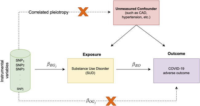 Schematic representation of study overview and assumptions underlying MR analysis; The target of inference in MR analysis is βEO (i.e., the causal effect of the exposure trait on the outcome). In this causal diagram, βEGj is the measure of association between the genetic variant Gj and the exposure trait (i.e., SUD in our analysis), βOGj is the association of Gj with the outcome (i.e., COVID-19 hospitalization or severe respiratory symptom) and βEO is the causal effect of exposure trait on the outcome. In our analysis, we make two important assumptions; 1) we assume that genetic variant Gj affects both the exposure and outcome through the same causal pathway, and 2) our randomized instrument Gj is not associated with any unmeasured confounder (i.e., there is no correlated pleiotropy).