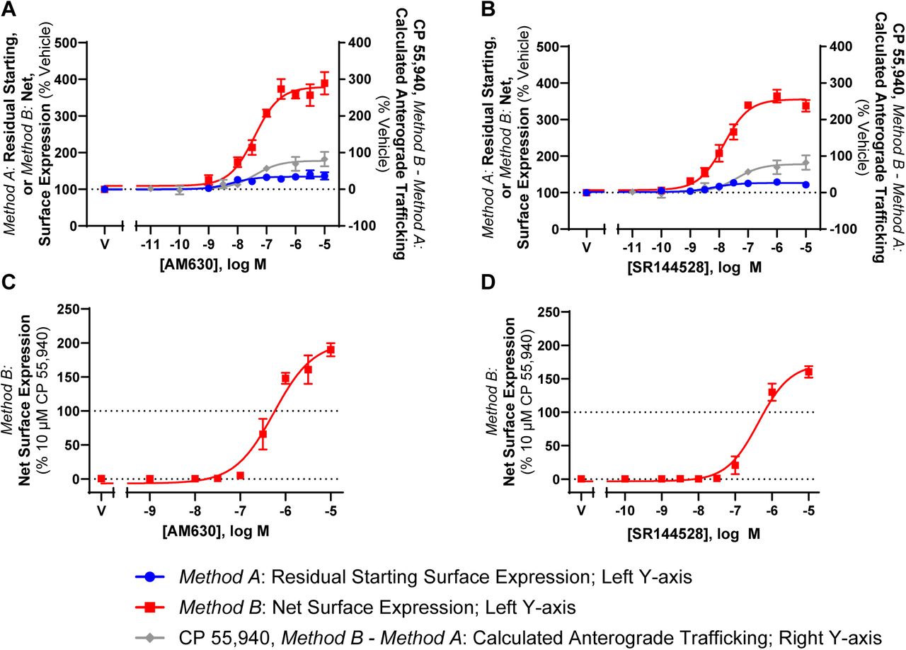CB2 wt and KK mutant trafficking in response to CB2 inverse agonists Left Y-axis: Cells stably expressing(A,B) CB2 wt or (C,D) KK mutant were treated with dilution series of CB2-selective inverse agonists, AM630 and SR 144528, for 3 hours, and were labelled to measure residual starting surface expression (Method A) or net surface expression (Method B). Right Y-axis: In A-B, calculated CP 55,940-induced anterograde trafficking (Method B – Method B) is shown for reference. Data are presented as mean ± SEM from three independent experiments.