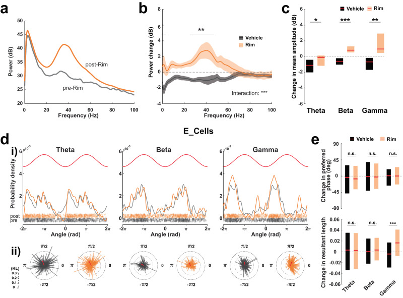 Effect of CB1 receptor blockade on anterior piriform cortex oscillations.a Example of power spectra before (gray) and after (orange) systemic injection of Rimonabant (Rim). b Mean change in power spectrum induced by Vehicle (black) or Rim (orange). Means, bold lines; SEM, shaded areas. Two-way ANOVA interaction: ***P < 0.001. Horizontal line: post-hoc t test with Bonferroni correction: *P < 0.05. n = 17 and 11 sessions from 9 and 8 mice for Vehicle and Rim, respectively. c Changes in mean amplitude of Theta-, Beta-, and Gamma-filtered signals. Theta: Vehicle −1.11 [−2.02 −0.42]; Rim −0.11 [−1.17 0.12] dB (*P = 0.043). Beta: Vehicle −0.60 [−1.03 −0.22]; Rim 0.81 [0.53 1.29] dB (***P = 5.22e−05). Gamma: Vehicle −0.68 [−1.70 −0.18]; Rim 0.96 [0.45 2.92] dB (**P = 0.002). n = 17 and 11 sessions from 9 and 8 mice for Vehicle and Rim, respectively. d (i) Probability densities of preferred phase for E_Cells, pre- (gray) or post- (orange) Rim injections. Top: theoretical cycles (red). Bottom (diamonds): preferred phase of individual units. (ii) Polar distributions of the preferred phases and resultant lengths (RL) for individual units. Red: mean preferred phases and RL for the population. n = 305 units from 11 sessions (8 mice). e Top: Median change in preferred phase. Theta: Vehicle −3.66 [−47.93 29.83]; Rim −7.81 [−36.50 27.84] degrees (P = 0.705). Beta: Vehicle −1.63 [−40.59 38.74]; Rim −2.70 [−35.58 34.65] deg (P = 0.990). Gamma: Vehicle 0.87 [−26.52 18.81]; Rim 0.14 [−23.12 24.71] deg (P = 0.241). Bottom: Median change in RL. Theta: Vehicle 0.0032 [−0.034 0.035]; Rim 0.0023 [−0.032 0.035] (P = 0.612). Beta: Vehicle 0.00020 [−0.022 0.024]; Rim 0.0033 [−0.016 0.026] (P = 0.166). Gamma: Vehicle −0.0041 [−0.029 0.017]; Rim 0.016 [−0.0078 0.041] (***P = 5.64e−16). n = 456 and 305 E_Cells from 17 and 11 sessions in 9 and 8 mice for Vehicle and Rim, respectively. Two-sided Mann–Whitney tests were used to assess significance unless stated otherwise. Boxplots and values in the legend represent median and 25–75th percentiles ([lower bound upper bound]). n.s. non-significant. Source data are provided as a Source Data file.
