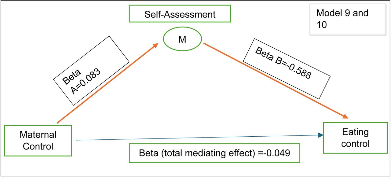 Linear regression of Self-Assessment (SA) dimension as dependent variable and maternal control as the independent variable (Red bold arrows illustrate the significant relationships)