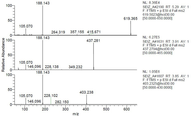 MS/MS spectra of the two nodes with precursor m/z = 351.243.