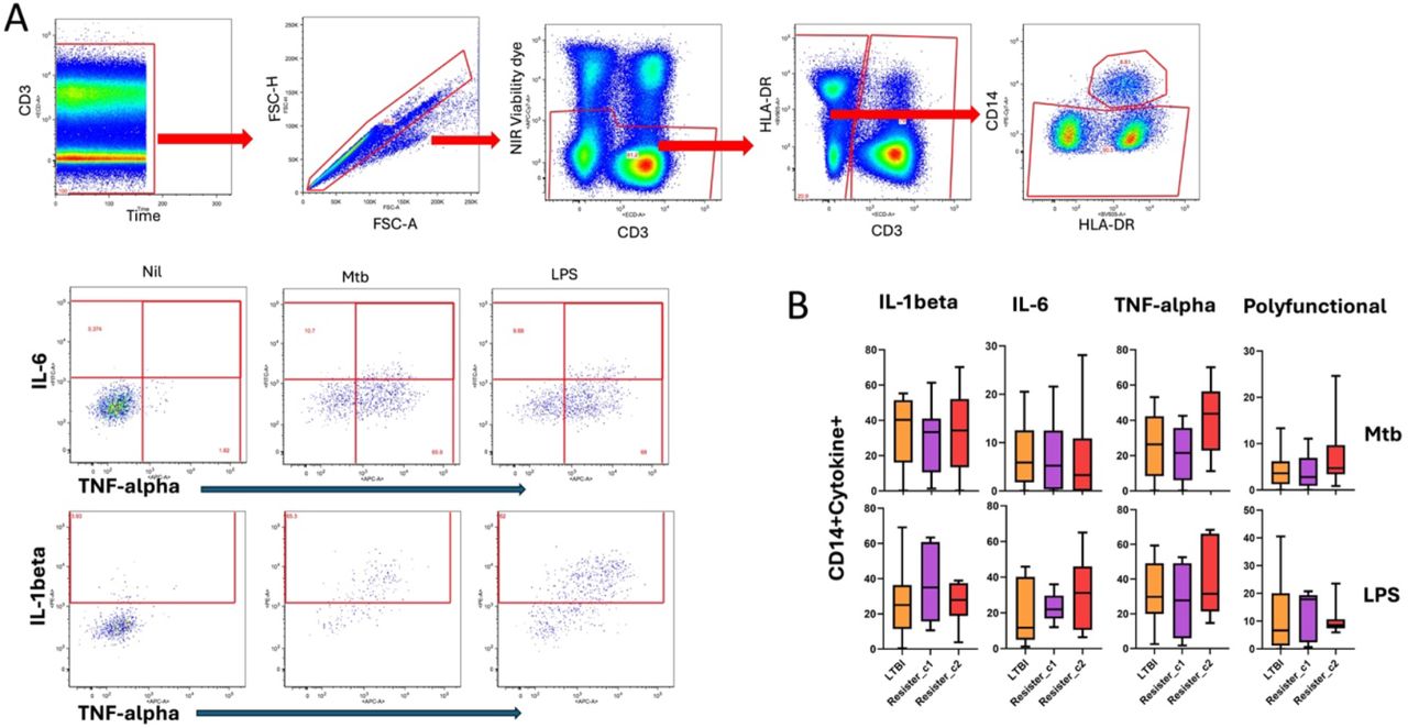 Monocyte responses in the Resister clusters and LTBI participants measured by flow cytometry. Simplified gating strategy for identification of monocytes and the intracellular expression of intracellular cytokines in response to Mtb and LPS. B. Summary data for the intracellular expression of cytokines after Mtb and LPS stimulation of PBMC in LTBI, Resister_c1 and Resister_c2. Wilcoxon non-parametric test was applied to compare the subclusters in each condition, without correction for multiple comparisons. All p values were >0.1 and thus not included in the figures.