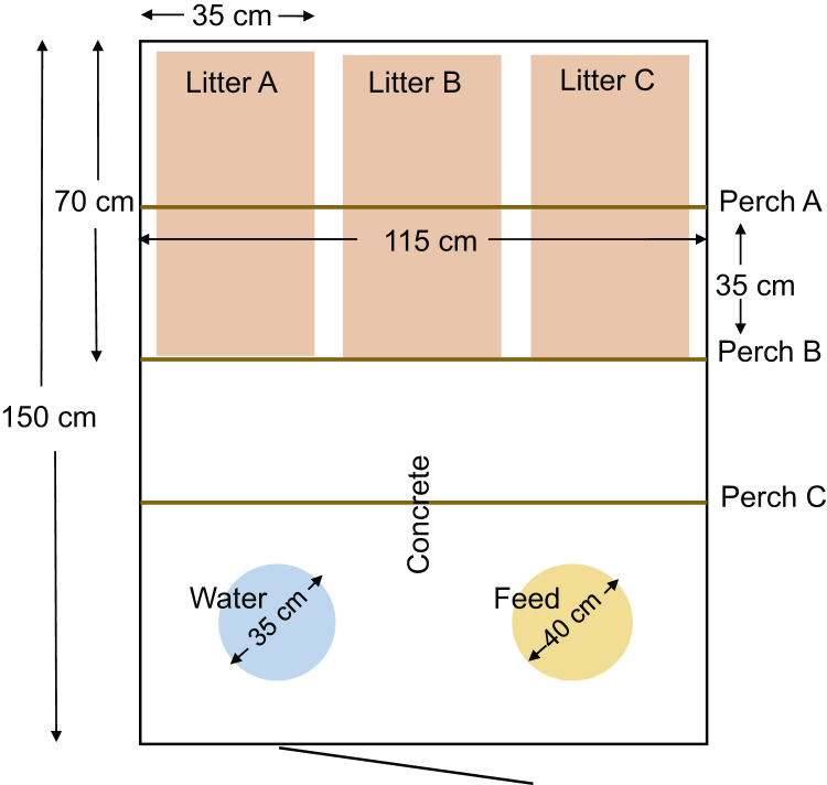 Each pen had 3 different litter types and 3 different perch types at a time, presented at locations A, B, and C. All litter and perch types were presented to all pens and at all locations during the 3-week-long test period.