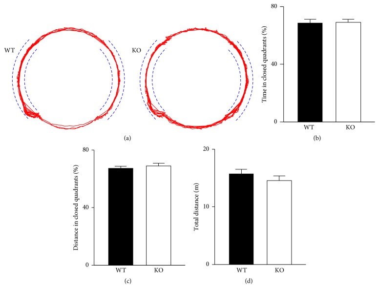 The anxiety level of CB2R KO mice is similar to that of WT mice when assayed in an elevated zero maze. (a) Representative tracking of mice in an elevated zero maze for 5 min. Dashed lines indicate the walls in two closed quadrants. (b-c) KO and WT mice spent similar time (b) and traveled similar distances (c) in the closed quadrants of the zero maze. (d) The total travel distance of KO mice in the zero maze for 5 min was not significantly different from that of WT mice. Error bars represent SEM.