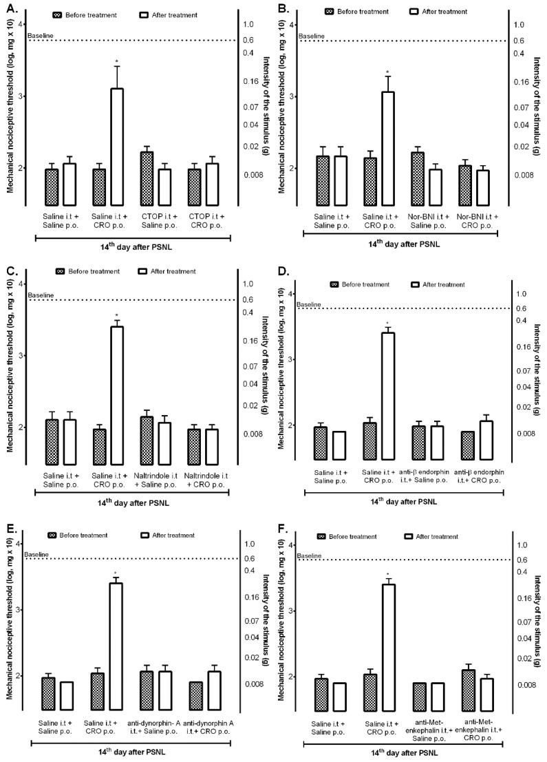 Involvement of the spinal opioid system in the crotalphine-induced analgesia. On the 14th day after the partial sciatic nerve injury (PSNL) surgery, the selective antagonists for mu (A), kappa (B), or delta (C) opioid receptors or specific antibodies for each endogenous opioid, anti-β-endorphin antibody (D), anti-dynorphin-A antibody (E) or anti-met-enkephalin antibody (F) were administered (i.t.). Crotalphine (CRO) (100 μg/kg, p.o.) was administered 10 min after treatments. The nociceptive threshold was evaluated using von Frey filaments 1 h after treatment with CRO. The results are expressed by the mean of ± SEM. n = 6. * p < 0.05 statistically significant when compared with the PSNL + Saline i.t. + Saline p.o. before and after treatment. The two-way ANOVA test followed by the Sidak test was used.