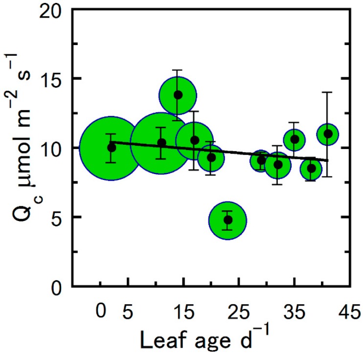 The light compensation point (Qc) of hemp leaves as a function of leaf age. Cuvette O2 was atmospheric ambient (~21%) and temperature was controlled at 25 °C. Binned averages per three-day collection sequence (means ± SE), where samples were pooled for treatments and crown position, and sample size in bins is indicated by the bubble diameter (n = 3–18 for Qc). Solid line is a linear regression fitted to the entire data set.