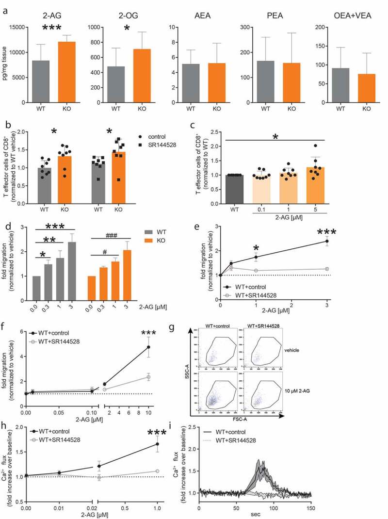 2-AG shifts CD8+ T cells toward a T effector phenotype and activates eosinophils in vitro.