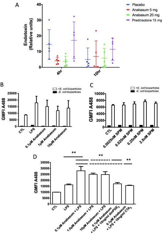 Anabasum actively clears UVkEc endotoxin from the site of inflammation. Healthy male volunteers were randomized to receive by oral route either placebo, 5 mg anabasum, 20 mg anabasum, twice daily, or 15 mg prednisolone once daily for 4 days. On the fourth day, acute inflammation was triggered by intradermal injection of 1.5 × 107 UV‐killed E. coli (UVkEc) suspended in 100 μL of saline in both forearms. Inflammatory exudate at the injection site was acquired into a suction blister raised after 4 h (onset phase) on one forearm and after 10 h (resolution phase) on the contralateral forearm. Endotoxin as a surrogate for inflammatory stimulus (UVkEc) was measured using the kinetic turbidimetric limulus ameobocyte lysate test. The relative concentration of endotoxin in the inflammatory exudate at 4 h and 10 h is shown (a). Whole blood from healthy volunteers was incubated with anabasum for 4 h before adding 0.1 μg/mL LPS for 15 min, after which time red blood cells were lysed and remaining leukocytes incubated with AF488‐labeled E. coli bioparticles and analyzed by flow cytometry to determine neutrophil phagocytosis (b). For comparison, lysed whole blood was stimulated with varying concentrations of SPMs (RvD3, LXB4, RvD1, and LXA4) for 15 min before incubating with AF488 E. coli bioparticles for 15 min and analyzed by flow cytometry (c). Experiments in panel b were repeated but incubated with 0.1 μg/mL LPS for 4 h with and without either 10 ng/mL dmPGE2 or a TxA2 receptor agonist (CTA2) (d); the idea was to replicate, as much as possible, the events occurring at the site of inflammation at 4 h where anabasum inhibited prophagocytic prostanoid biosynthesis. Data expressed as individual values with mean ± SD. n = 5/group. **P < 0.01.