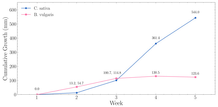 Weekly growth trajectories for C. sativa and B. vulgaris extracted from automated ToF monitoring.