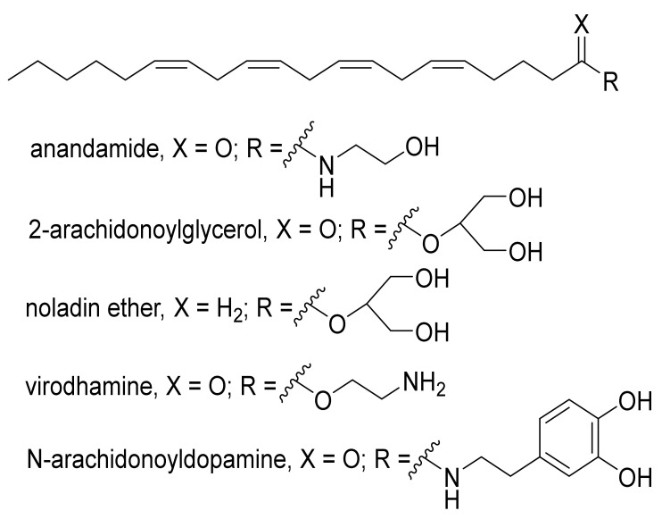 Structures of the main endocannabinoids (ECs).