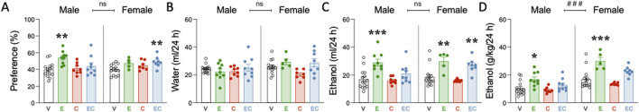 Voluntary ethanol consumption in adulthood following adolescent drug exposure. (A) ethanol preference (%), (B) water intake (ml/24 h), (C) ethanol intake (ml/24 h), and (D) ethanol dose (g/kg/24 h). (A–D) Columns represent mean ± SEM of the preference for ethanol (expressed as a % value), water or ethanol intake (ml/24 h) and ethanol dose consumed (g/kg/24 h) in the two-bottle choice test (20% ethanol vs water choice). Individual values are shown for each rat (symbols). Groups of treatment: vehicle-male (n = 15); ethanol-male (n = 9); cocaine-male (n = 8); ethanol + cocaine-male (n = 9); vehicle-female (n = 14); ethanol-female (n = 5); cocaine-female (n = 7); ethanol + cocaine-female (n = 8). One-way ANOVAs (independent variable: Treatment) were performed for each sex separately, and are detailed in Supplementary Table S1. Dunnett’s post hoc analyses: *p < 0.05, **p < 0.01, and ***p < 0.001 vs same-sex vehicle-treated rats. The table also includes two-way ANOVAs analyses with Sex and Treatment as independent variables (Effect of Sex: ### p < 0.001 when comparing female vs male rats). V: vehicle; E: ethanol; C: cocaine; EC: combination.