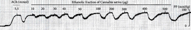 Original graphical recording showing the dose-dependent effect of EFCS extract (10–500 μg) on PP of the MAB precontracted with PHE (10–20 μM).