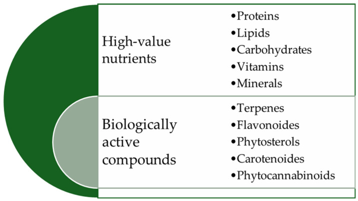 Various nutrients and bioactive compounds from hemp seeds (Cannabis sativa L.).
