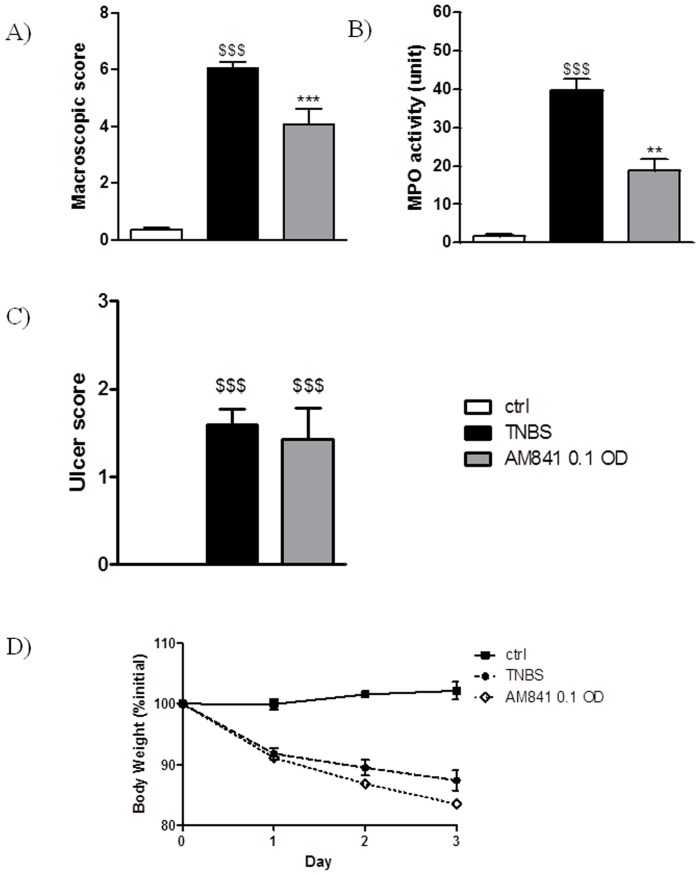 Protective effect of AM841 (0.1 mg/kg, i.p.) injected once daily for 3 days on TNBS-induced colitis in mice.Figure shows data for (A) macroscopic score, (B) MPO activity, (C) ulcer score and (D) body weight. $$$p<0.001, as compared with control animals. **p<0.01, ***p<0.001, as compared with TNBS-treated mice. Data represent means ± SEM, n = 6–8.